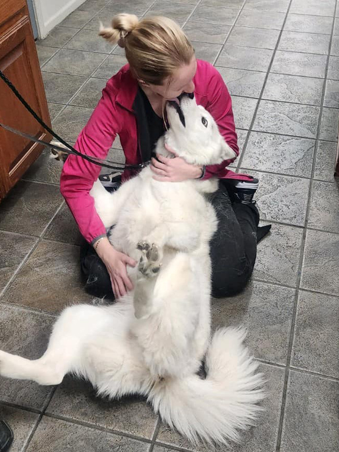 a person kissing a dog