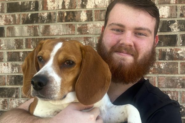 Veterinary Assistant Noah